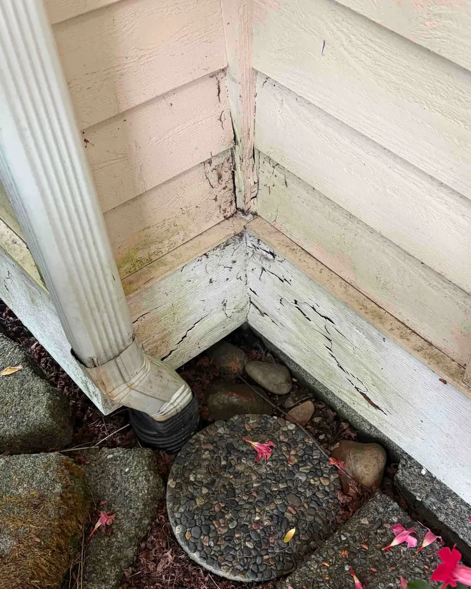 Cracked and deteriorated exterior trim board at the base of a house corner, with paint failure and splitting visible
