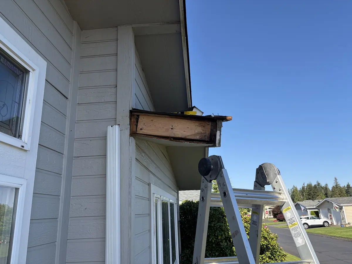 Opened eave projection showing new plywood repair during roofline repair work